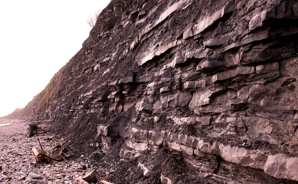 The stone cliffs of the beach at Lyme Regis showing interbedded thin shale and thicker, blocky limestone