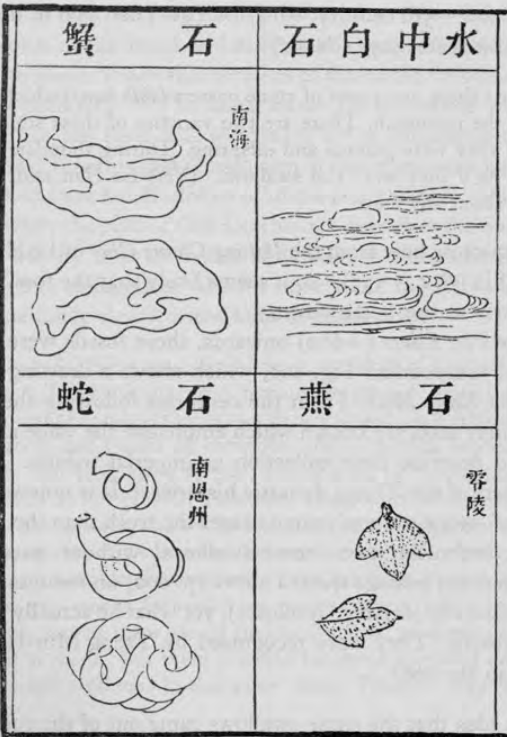 Sketch of four fossils, oysters, clams, whirling tubes, and leaf-like organisms with Chinese writing