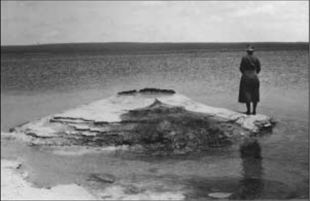 Photo of Bascom standing on a rock at the edge of a large lake with her back turned to the camera