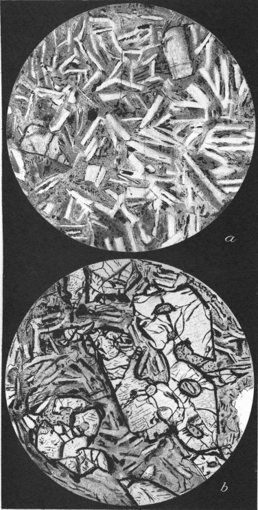 Circular sketches of mineral grains as viewed in microscope. There are bladed crystals in the top circle and blades and more rectangular crystals in the bottom
