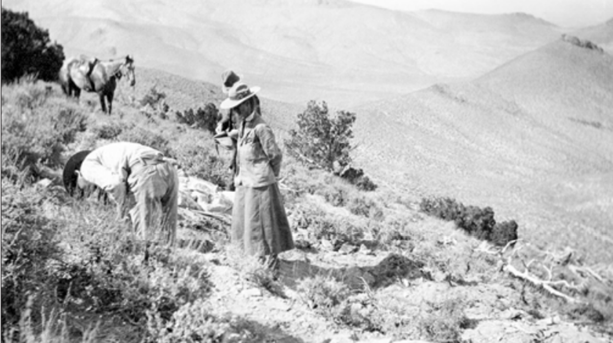 A woman with a hat looks on as men dig for fossils