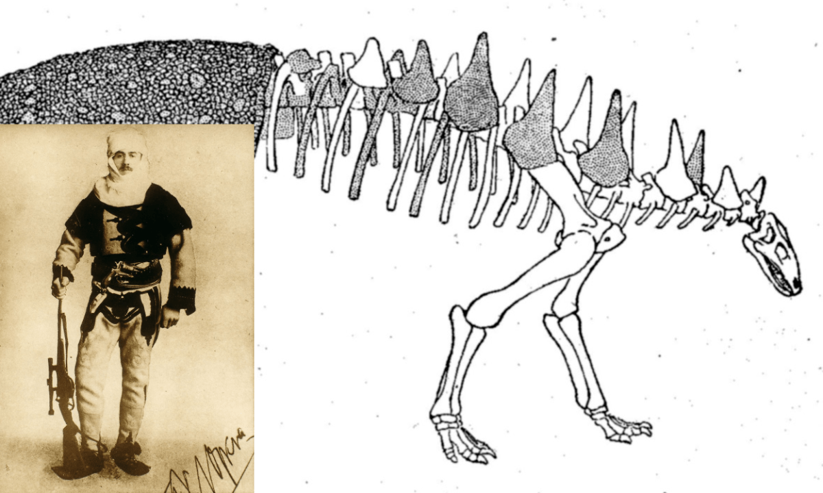 Micro Musings: The Eccentric Gay Man Who Founded&nbsp;Paleobiology